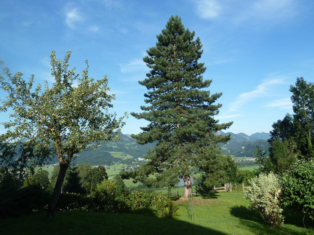 Pension Schone Aussicht Kuchl Esterno foto