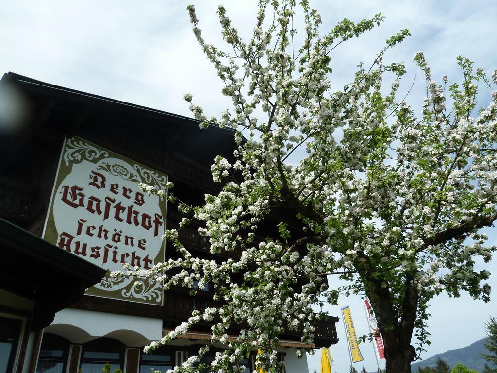 Pension Schone Aussicht Kuchl Esterno foto