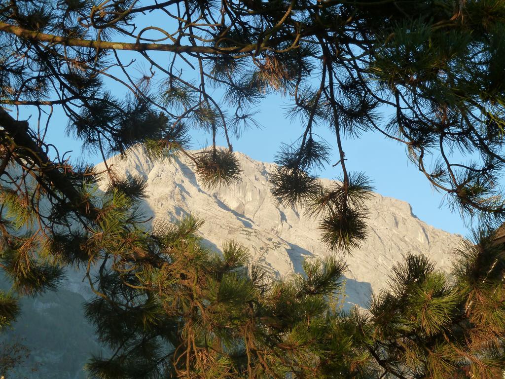 Pension Schone Aussicht Kuchl Esterno foto